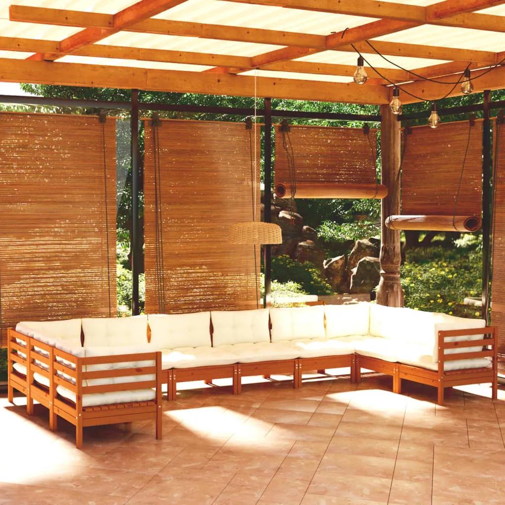 3097334 vidaXL Set mobilier grădină cu perne, 10 piese, maro miere, lemn pin