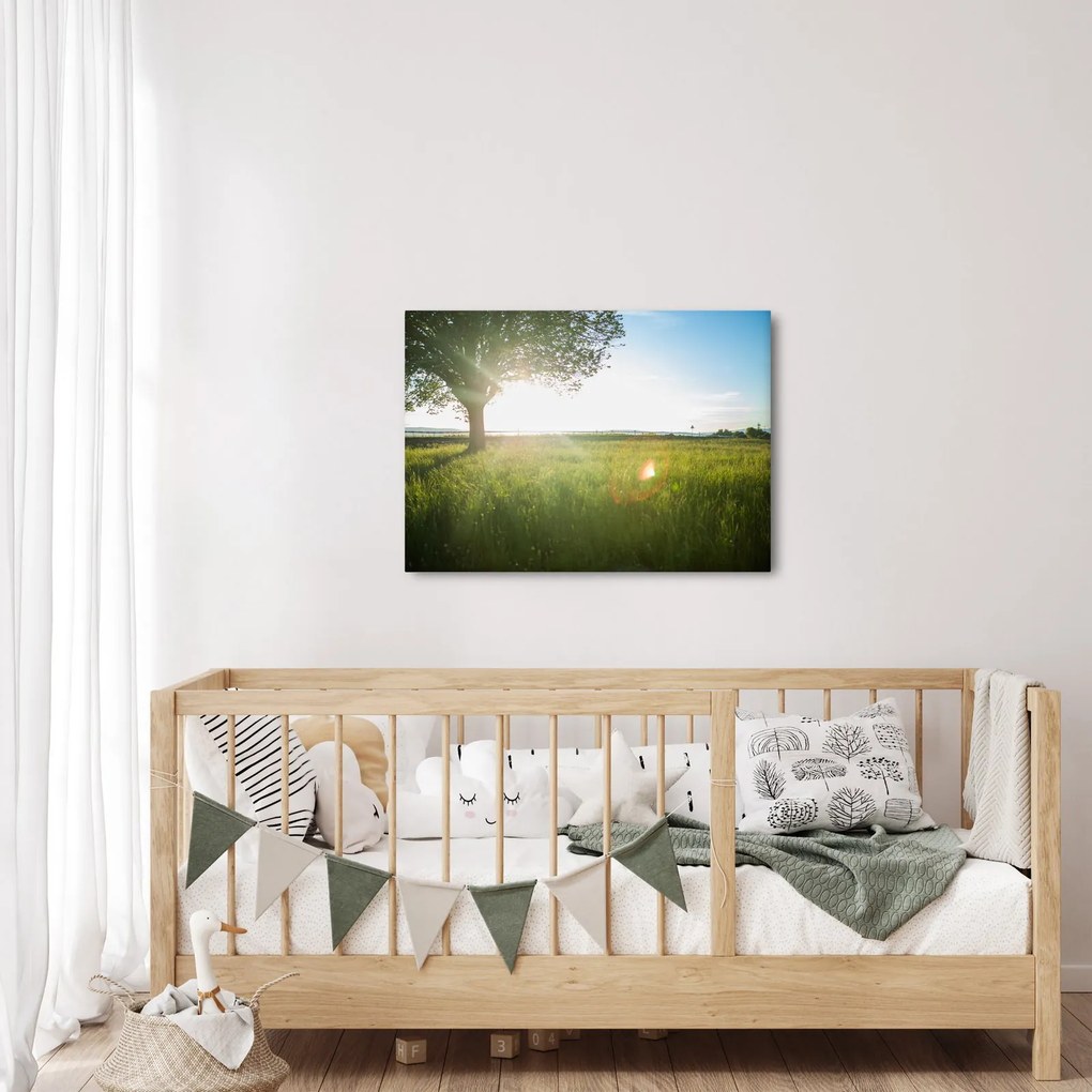 Tablou cu lunca în vară (70x50 cm)