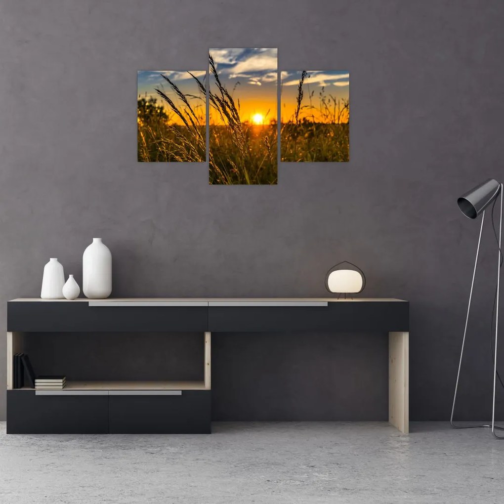 Tablou cu câmp în apus de soare (90x60 cm)