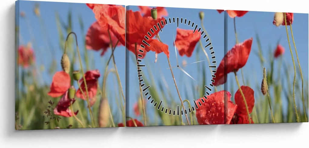 Tablou - Maci (cu ceas) (90x30 cm)
