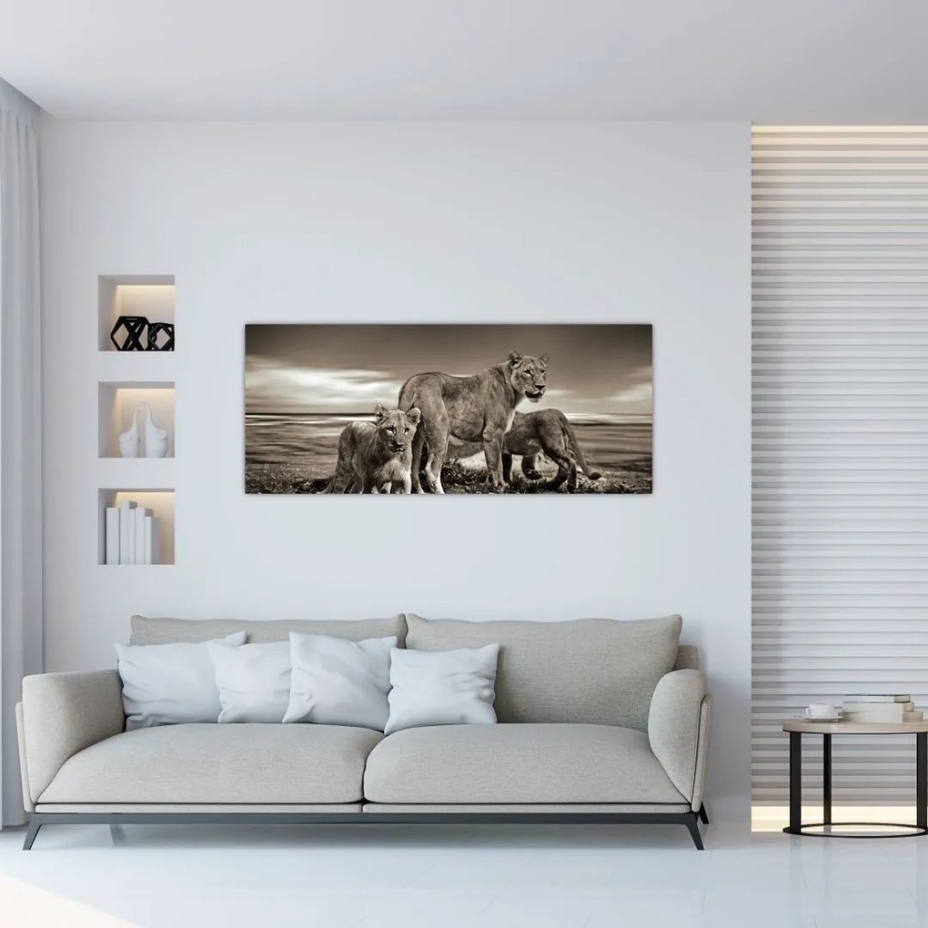 Tablou cu leii alb negri (120x50 cm)