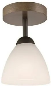 Plafoniera rustica 1 bec E27 Adriano 28286 Lamkur