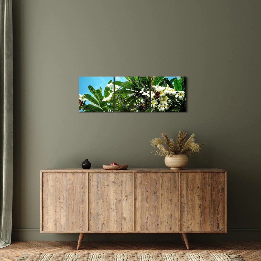 Tablou - Plumeria (cu ceas) (90x30 cm)