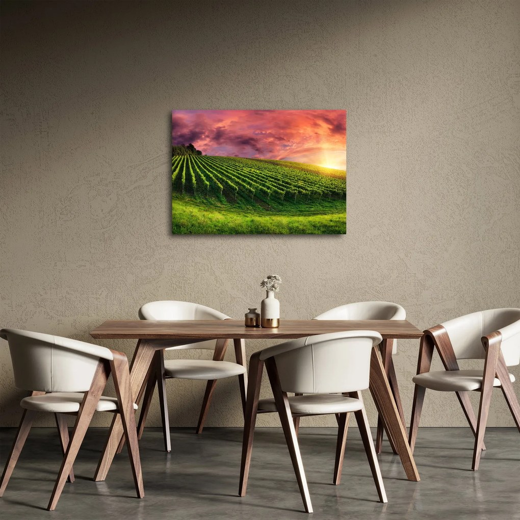 Tablou cu vie cu cerul color (70x50 cm)