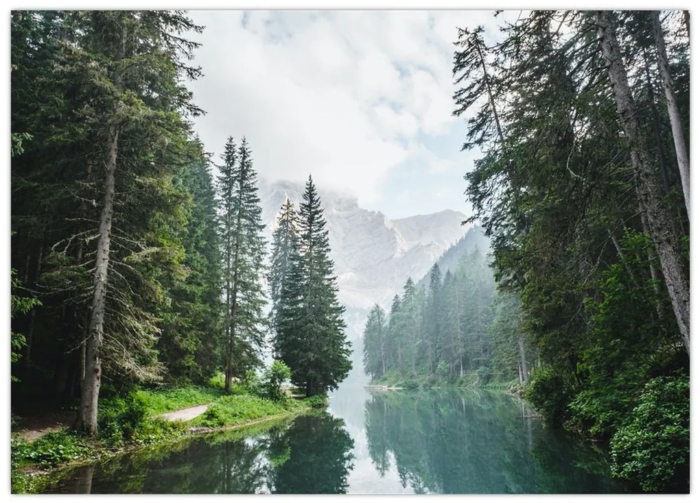 Tablou lacului în pădure (70x50 cm)