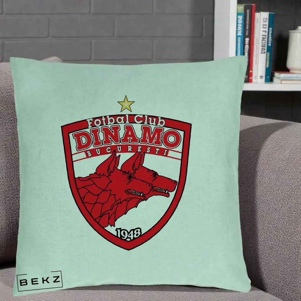 Perna Personalizata FC Dinamo Bucuresti 1948 Fotbal, 40x40 cm, Verde Menta, Husa Detasabila, Perna Inclusa, BEKZ®