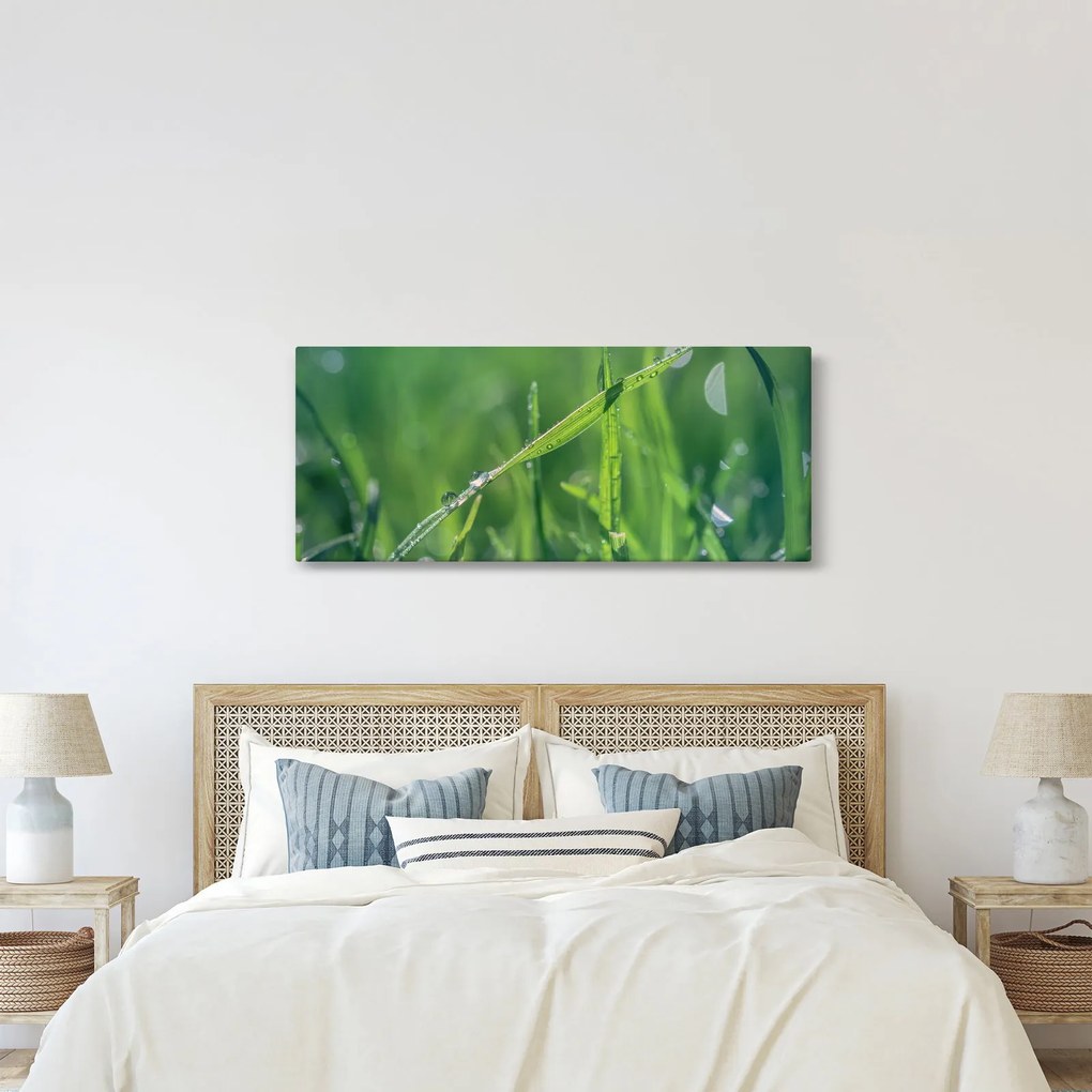 Tablou cu picături de rouă (120x50 cm)