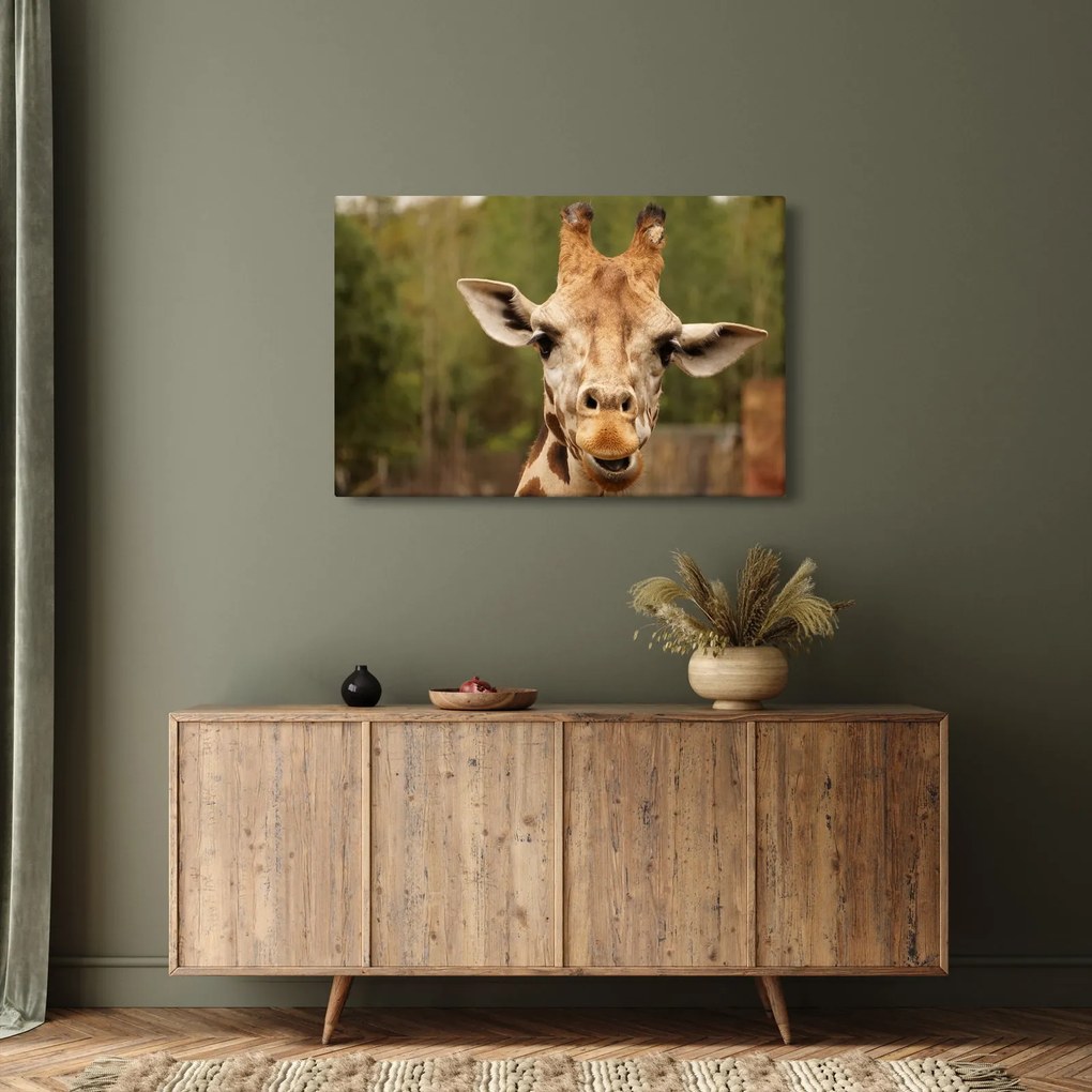 Tablou girafe (90x60 cm)