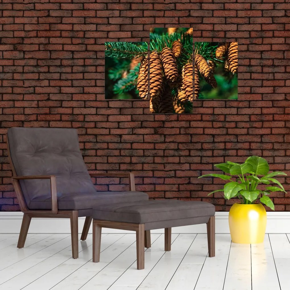 Tablou cu con de brad (90x60 cm)