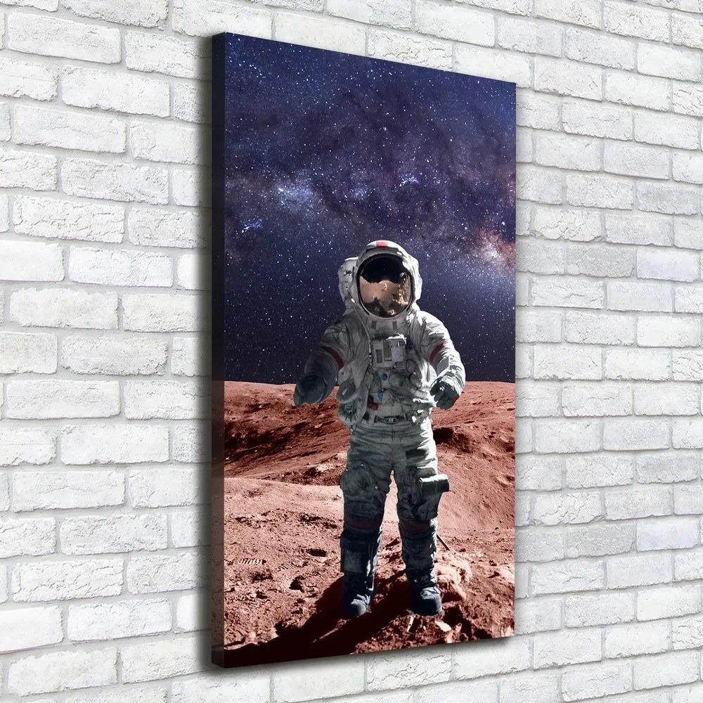 Tablou pe pânză canvas Astronaut