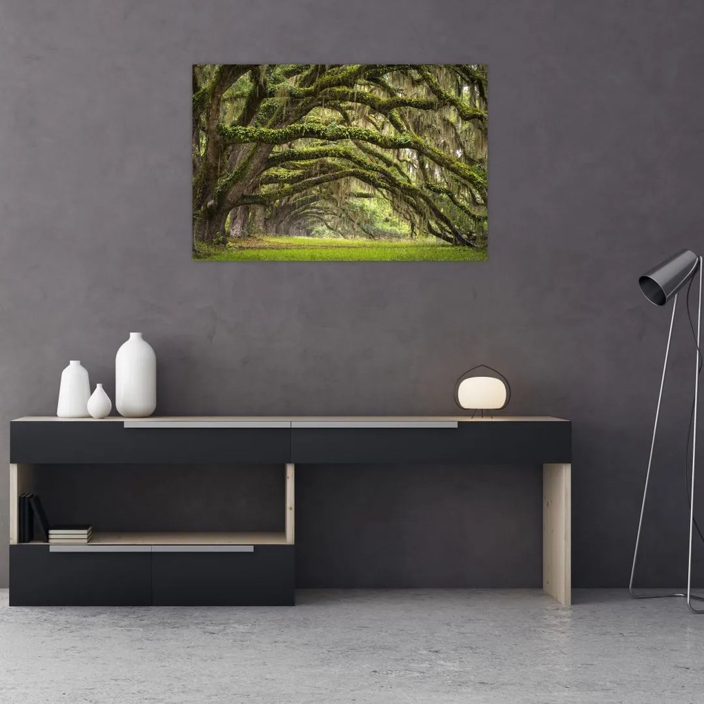 Tablou - Oaks Avenue, Charleston, Carolina de Sud, SUA (90x60 cm)