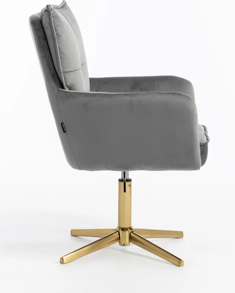 HR250CROSS Scaun Catifea Grafit Bază Aurie