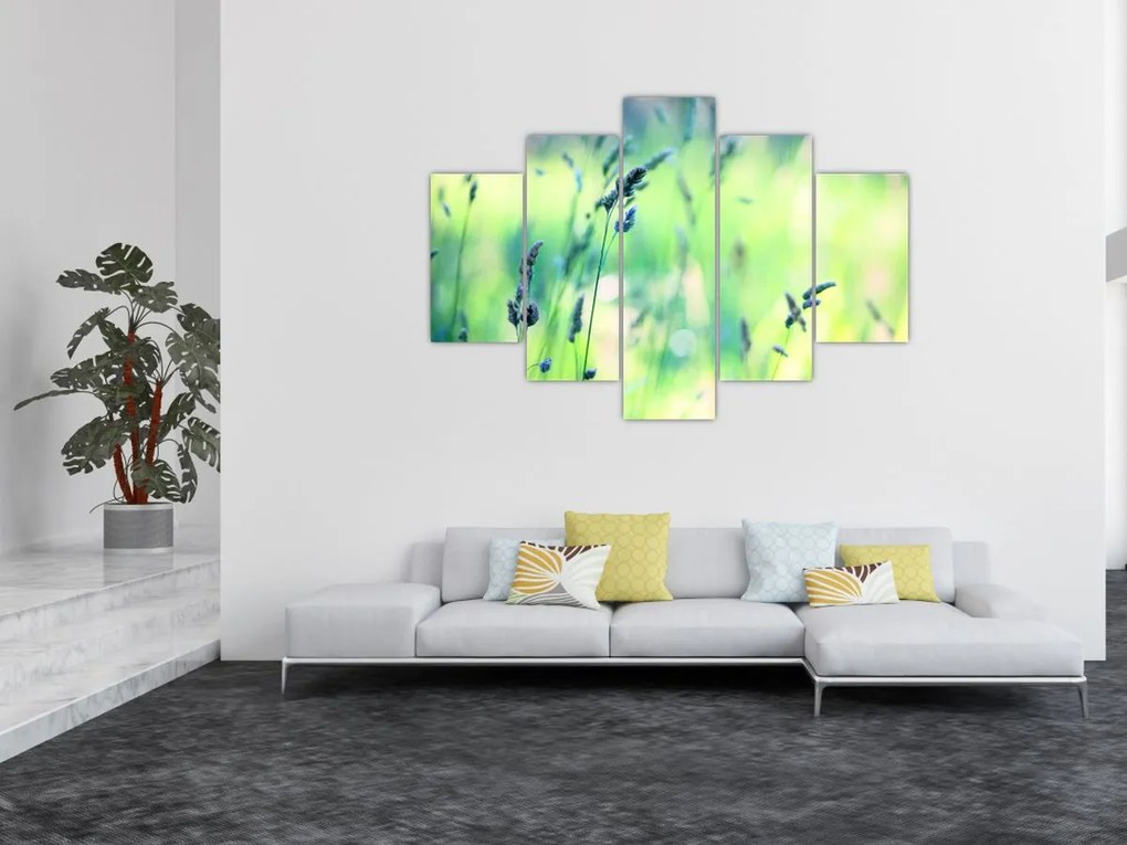 Tablou - Detaliu pajiște (150x105 cm)