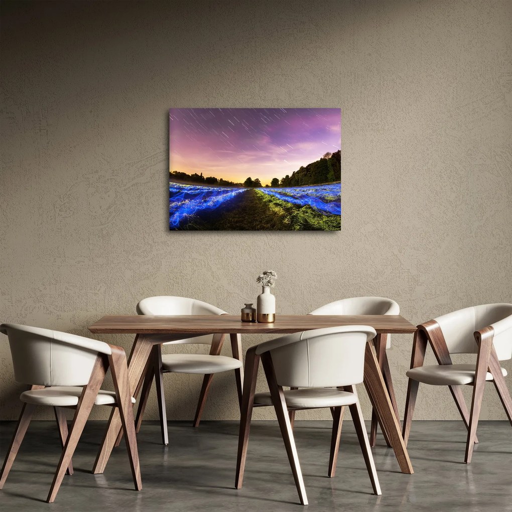 Tablou cu câmp colorat (70x50 cm)