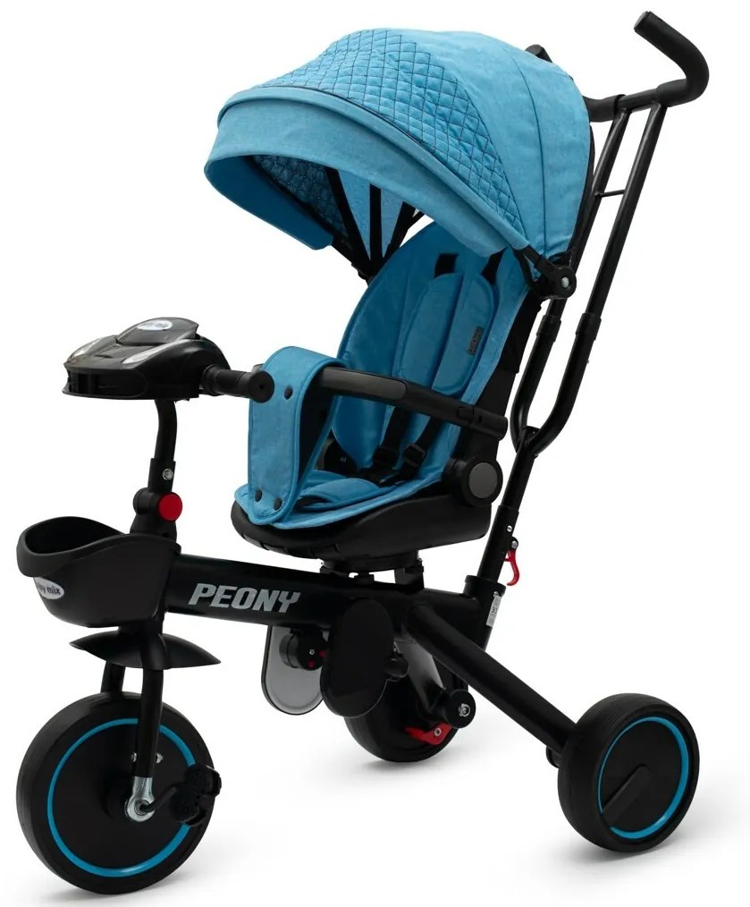 Baby Mix Triciclu pentru copii Peony EVA, albastru