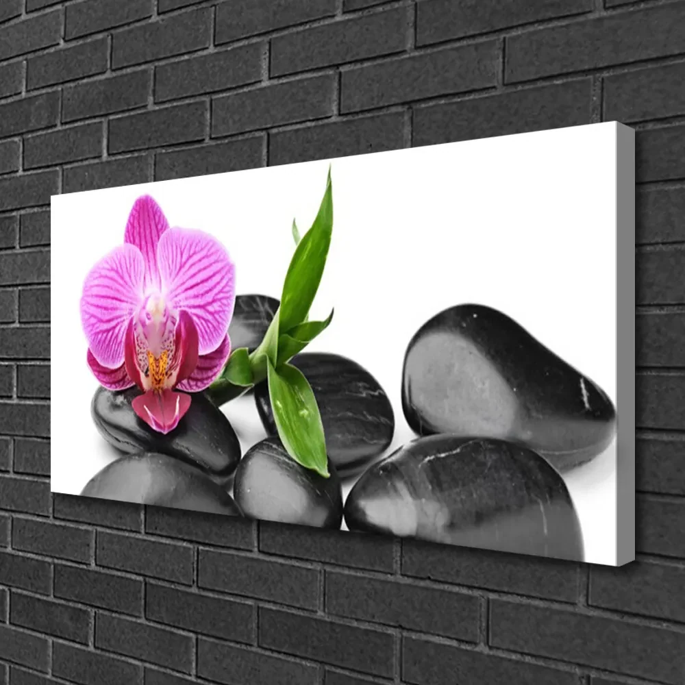 Tablou pe panza canvas Pietrele de flori Arta roz negru | BIANO