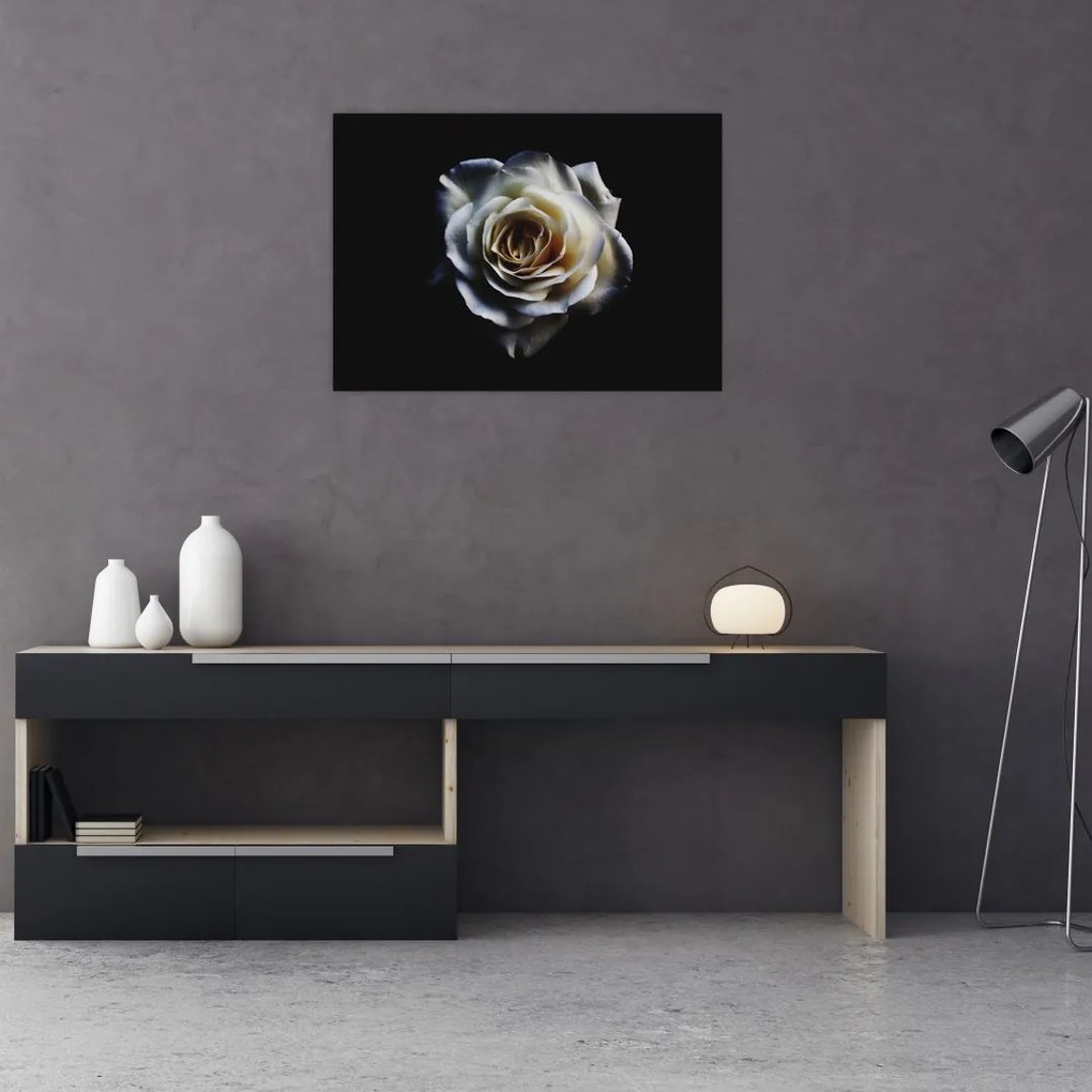 Tablou cu trandafir alb (70x50 cm)