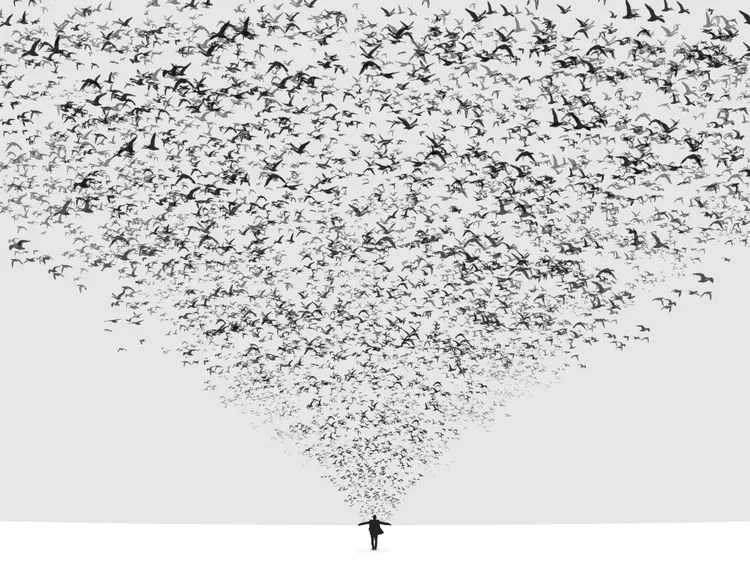 Fotografie The Dark Half, Hossein	Zare