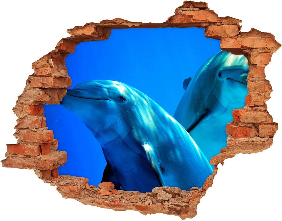 Autocolant un zid spart cu priveliște Doi delfini