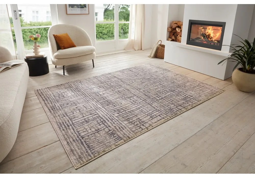 Covor gri 160x235 cm Terrain – Hanse Home