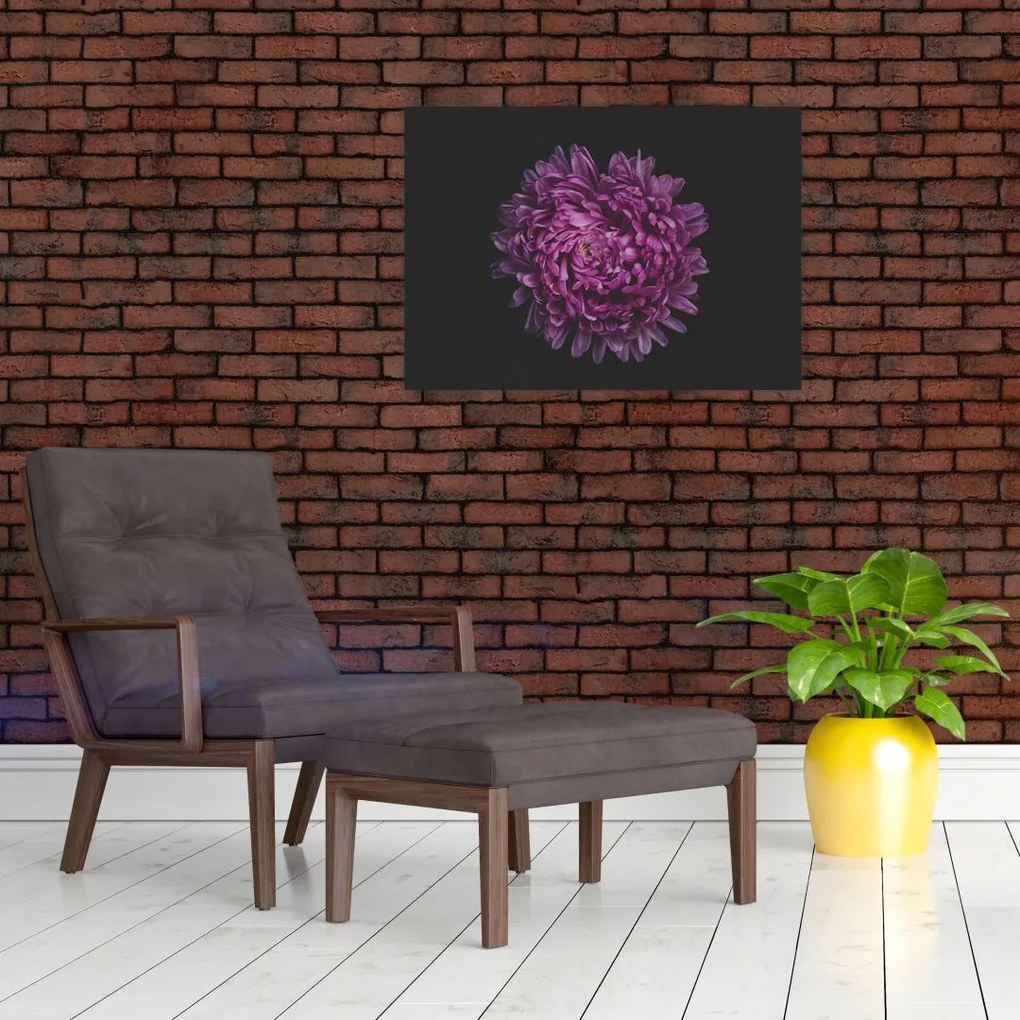 Tablou cu floare violetă (70x50 cm)