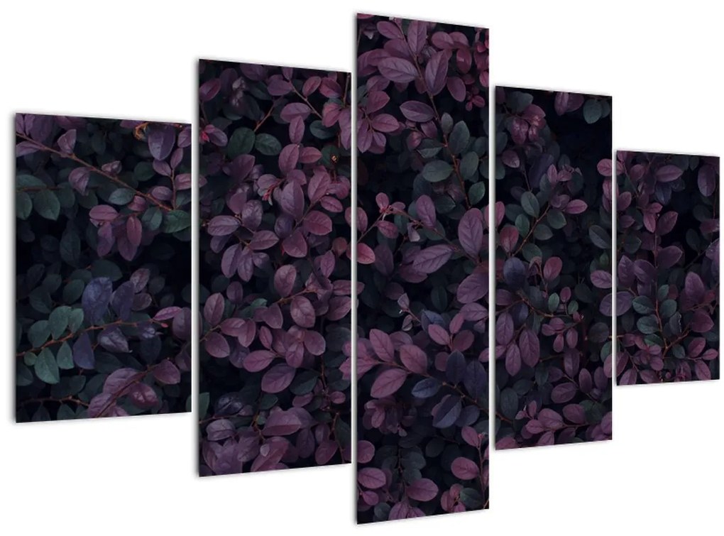 Tabou - Frunze roșu închis (150x105 cm)