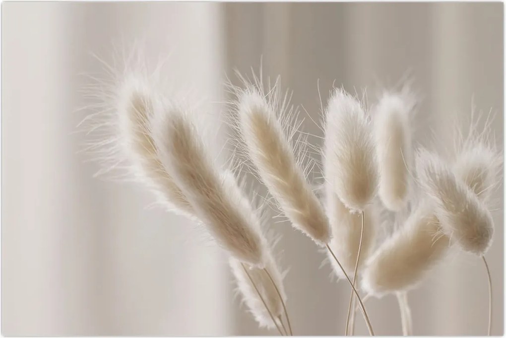 Tablou - Cozi de iepure (90x60 cm)