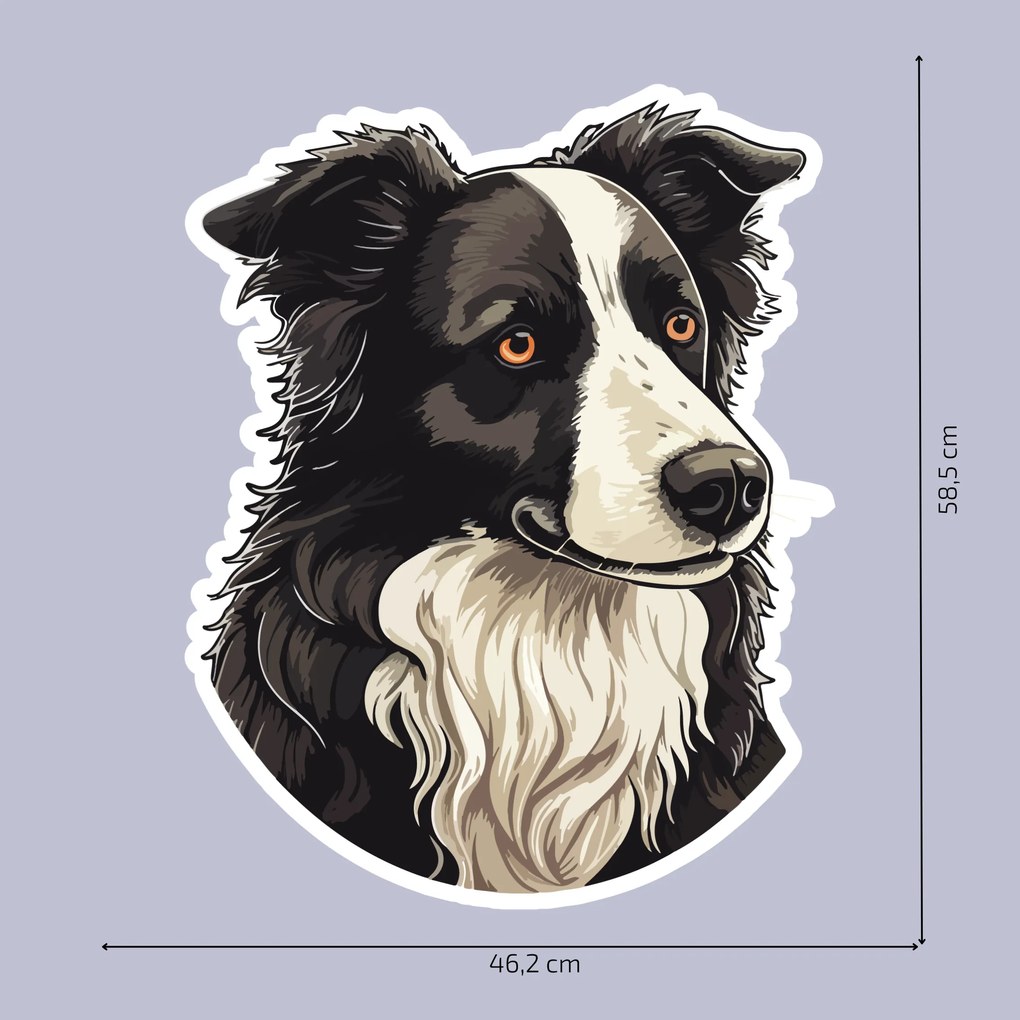 PIPPER. Autocolant Border Collie mărimea: 15cm