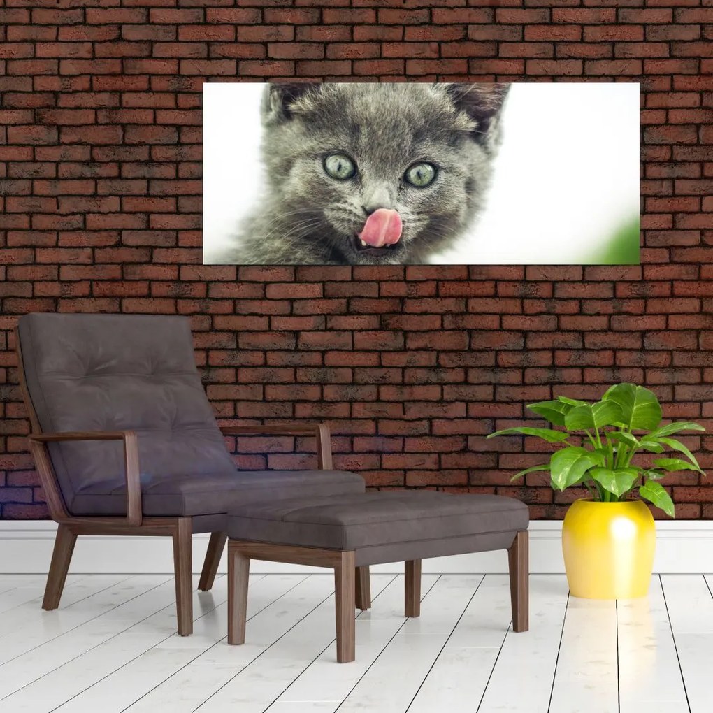 Tablou cu pisicuța lingându-se (120x50 cm)