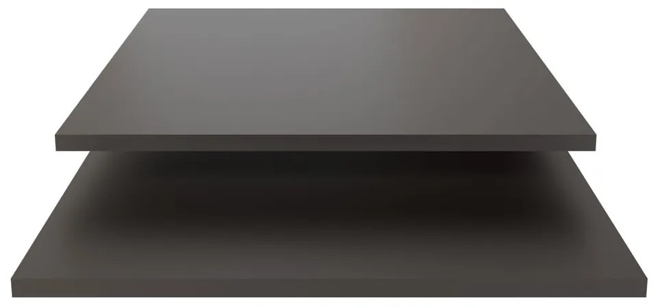 Rafturi suplimentare gri 2 buc. 48x1,5 cm Daily – vtwonen