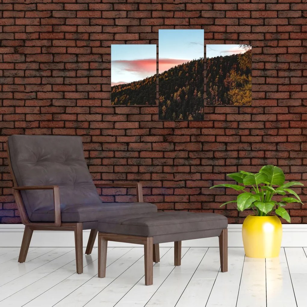 Tablou - Zori de zi (90x60 cm)