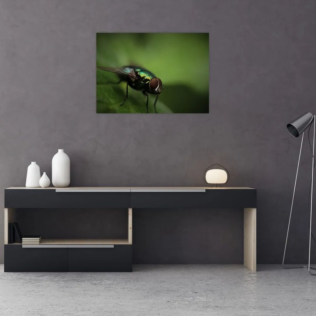 Tablou pe sticlă - Musca (70x50 cm)