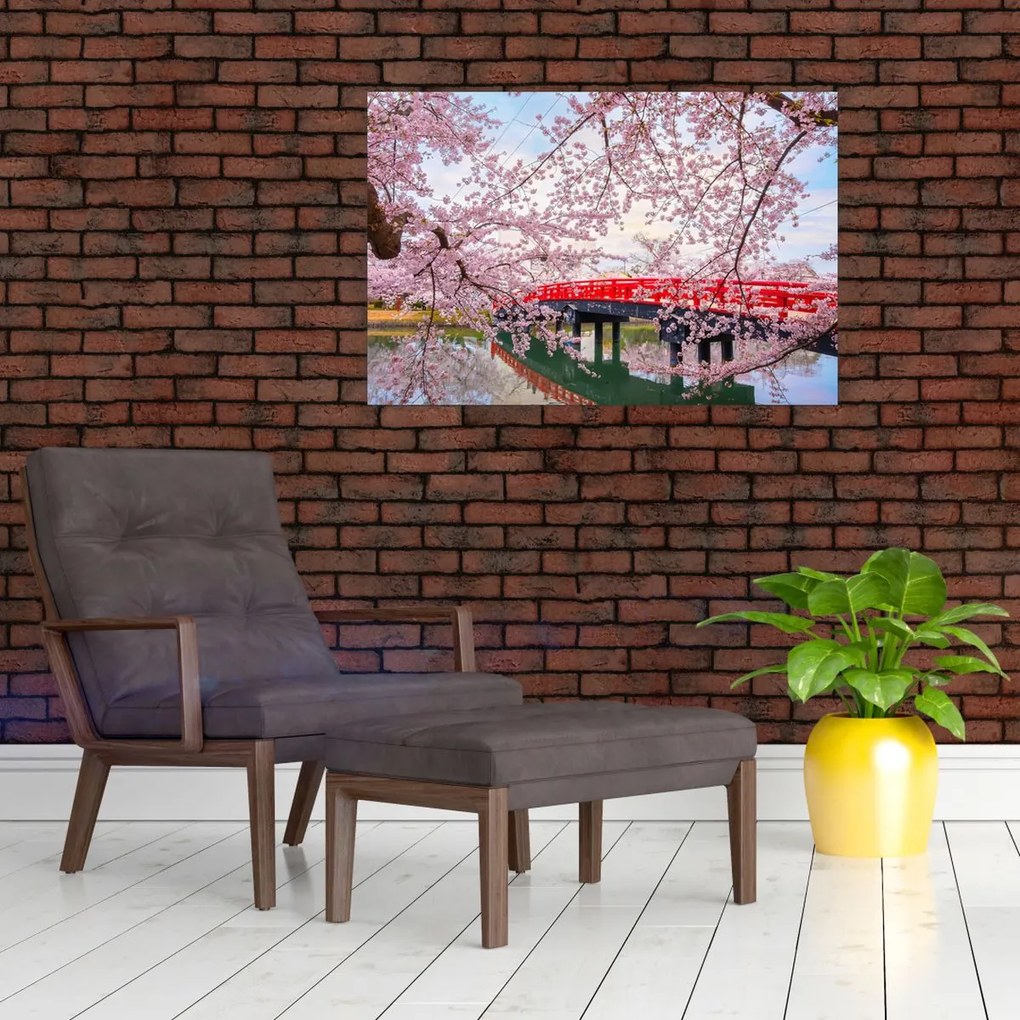 Tablou - Hirosaki, Japonia (90x60 cm)