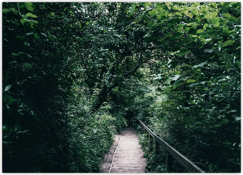 Tablou pe sticlă - Drumul prin pădure (70x50 cm)