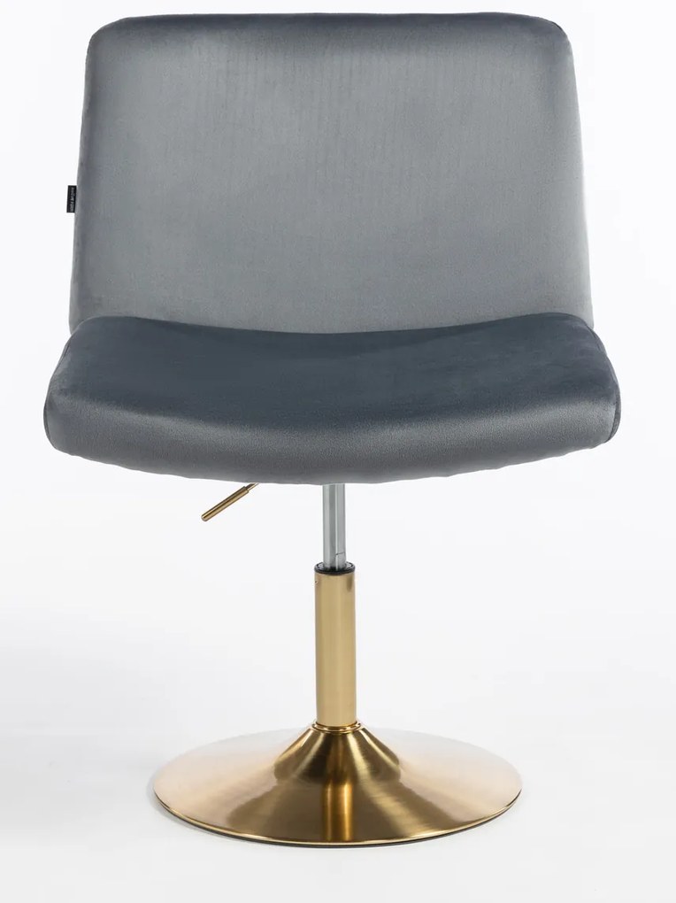 HR150N Scaun Grafit din Catifea cu Bază Aurie