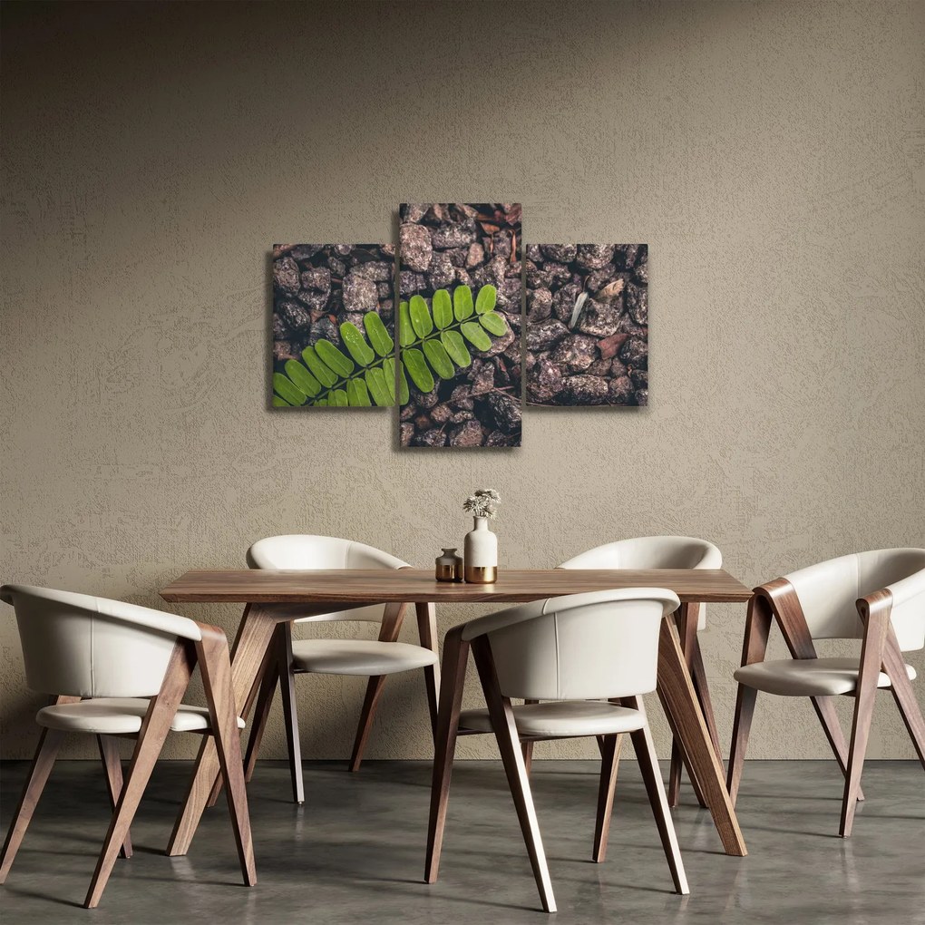 Tablou cu planta verde (90x60 cm)