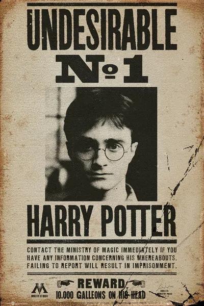 Poster HARRY POTTER - Undesirable n1, (61 x 91.5 cm)