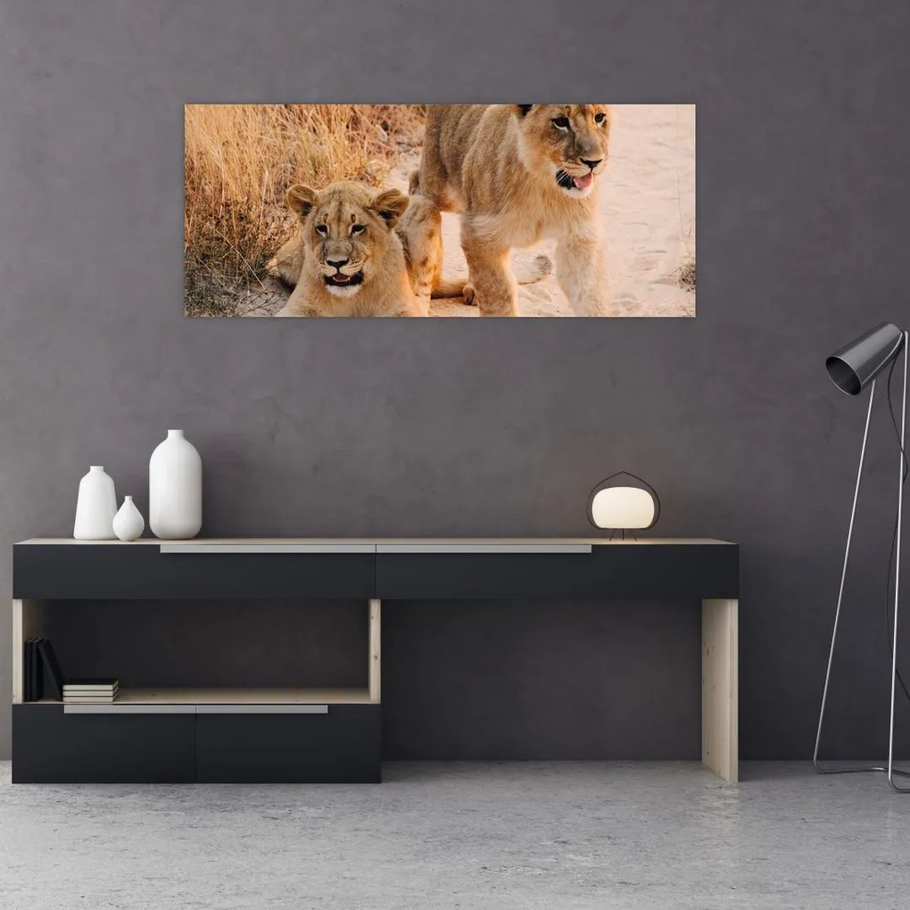 Tablou cu pui de leu (120x50 cm)