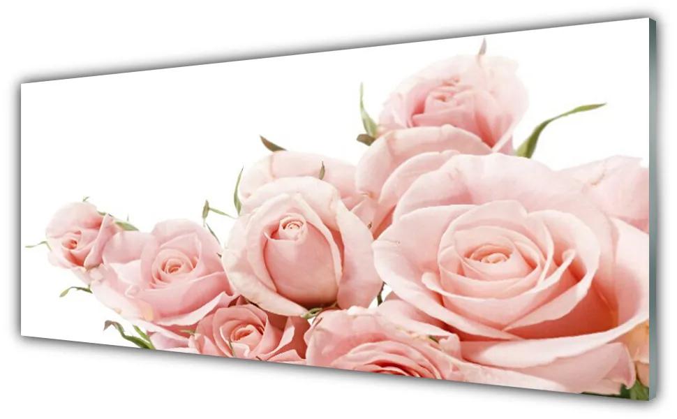 Tablouri acrilice Trandafiri Floral Bej Alb
