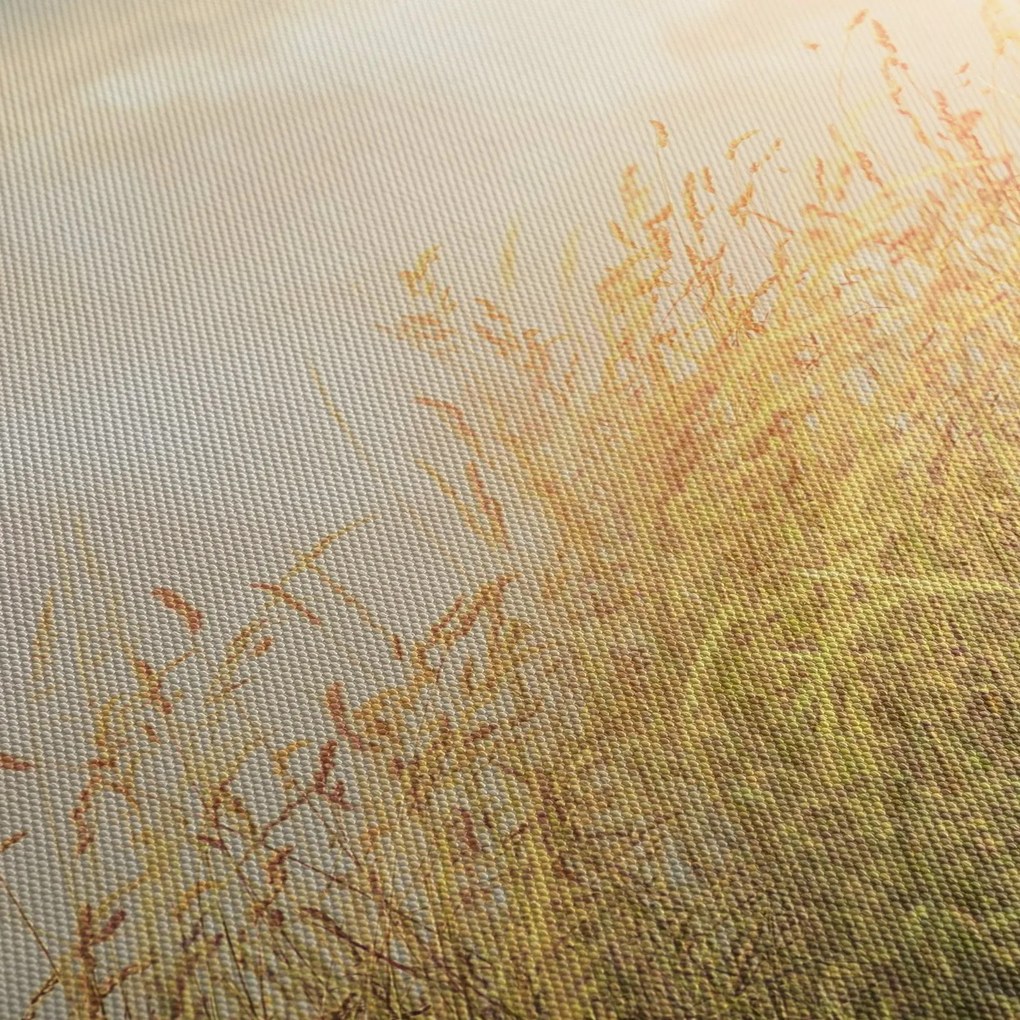 Tablou - Câmp toamna (120x50 cm)