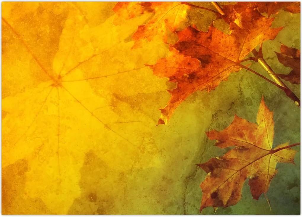 Tablou - Frunze de toamnă (70x50 cm)