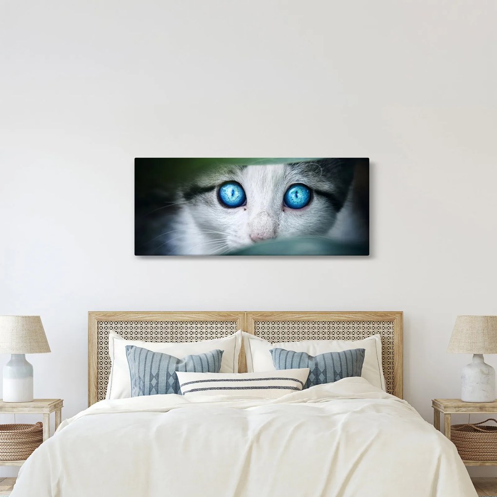 Tablou cu pisica (120x50 cm)