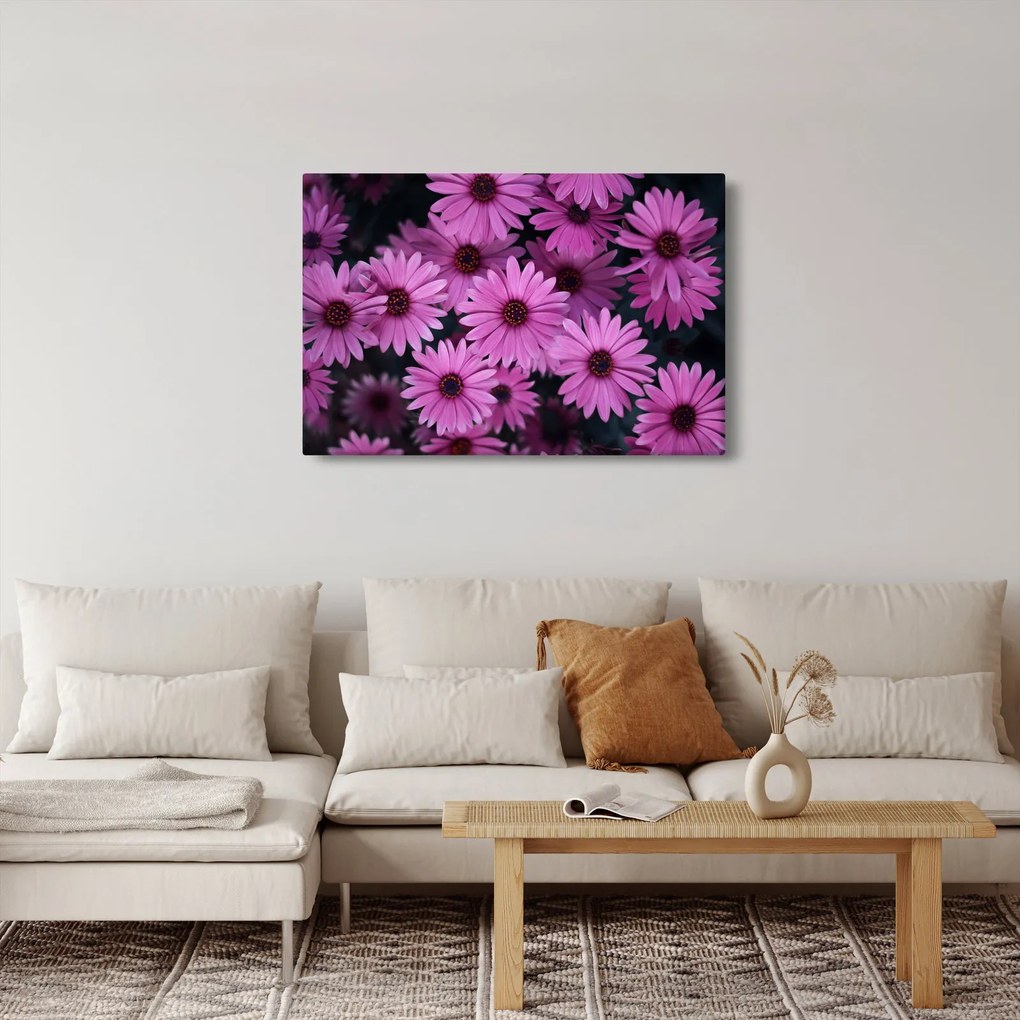 Tablou cu florile roz (90x60 cm)