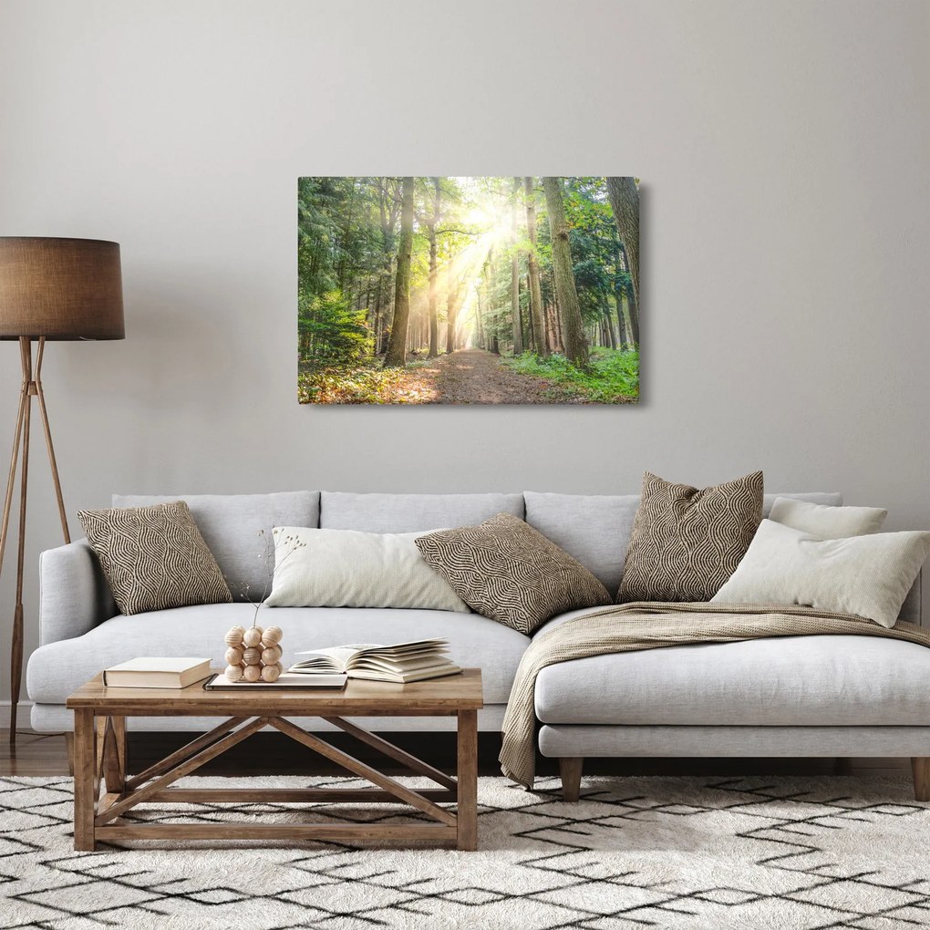 Tablou - Poteci în pădure (90x60 cm)