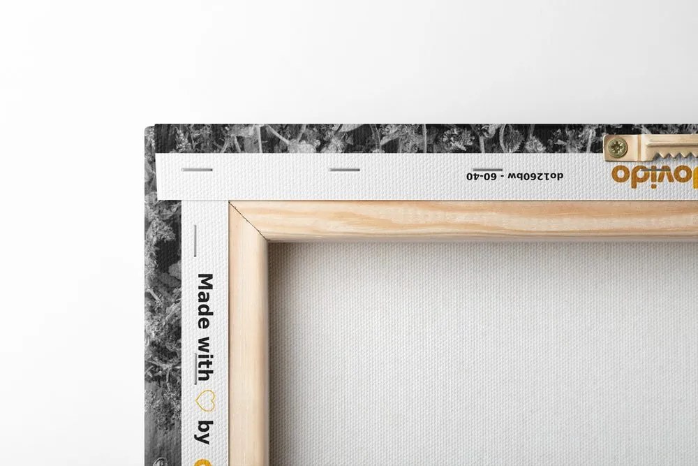Tablou plante medicinale în design alb-negru