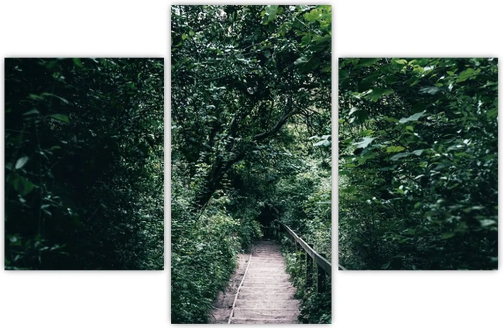 Tablou - Drumul prin pădure (90x60 cm)