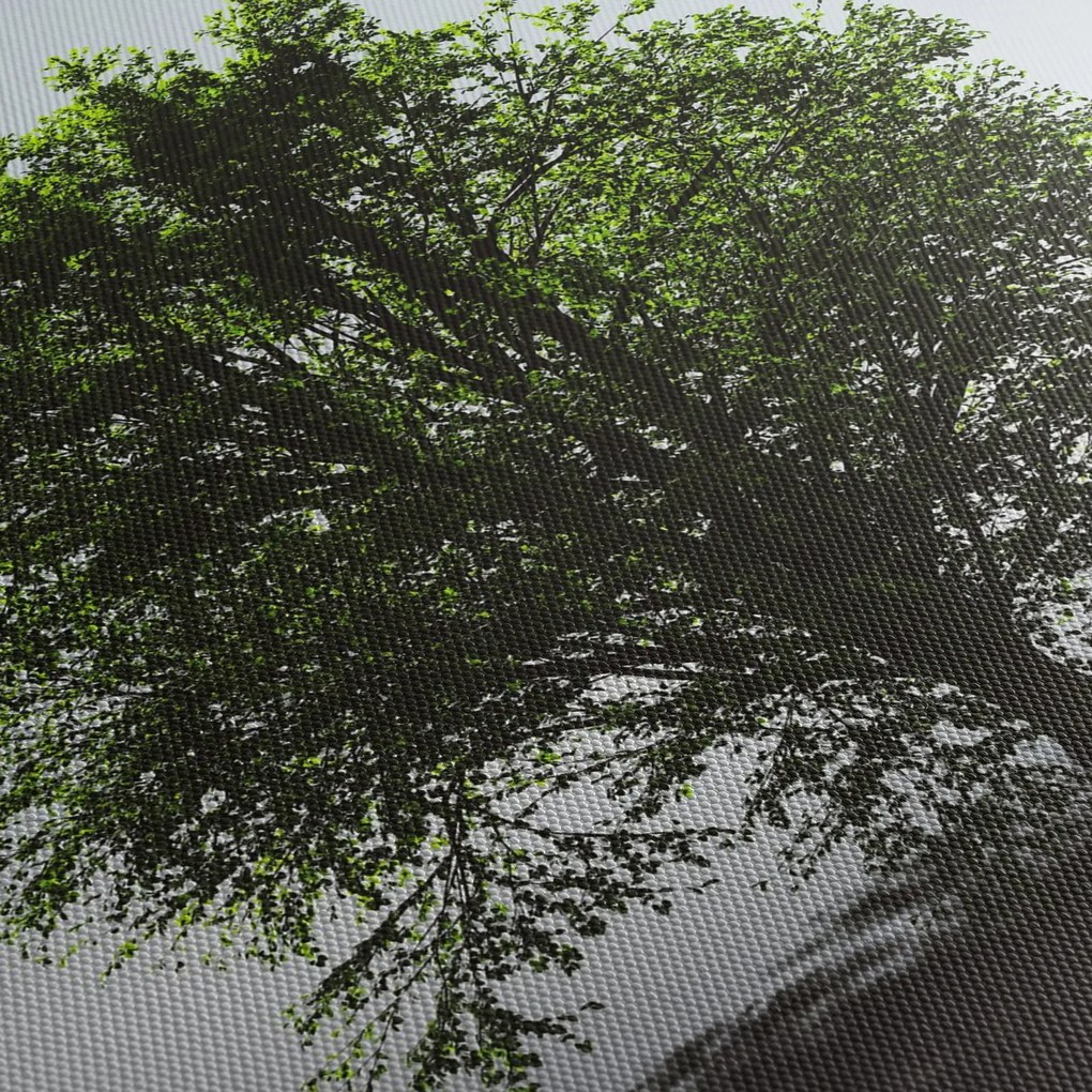 Tablou - Copacul singuratic (120x50 cm)