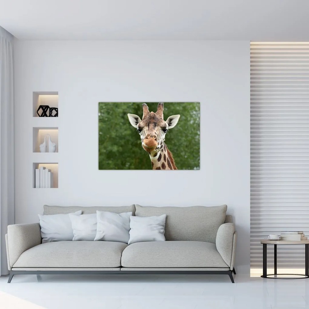 Tablou cu girafa (90x60 cm)