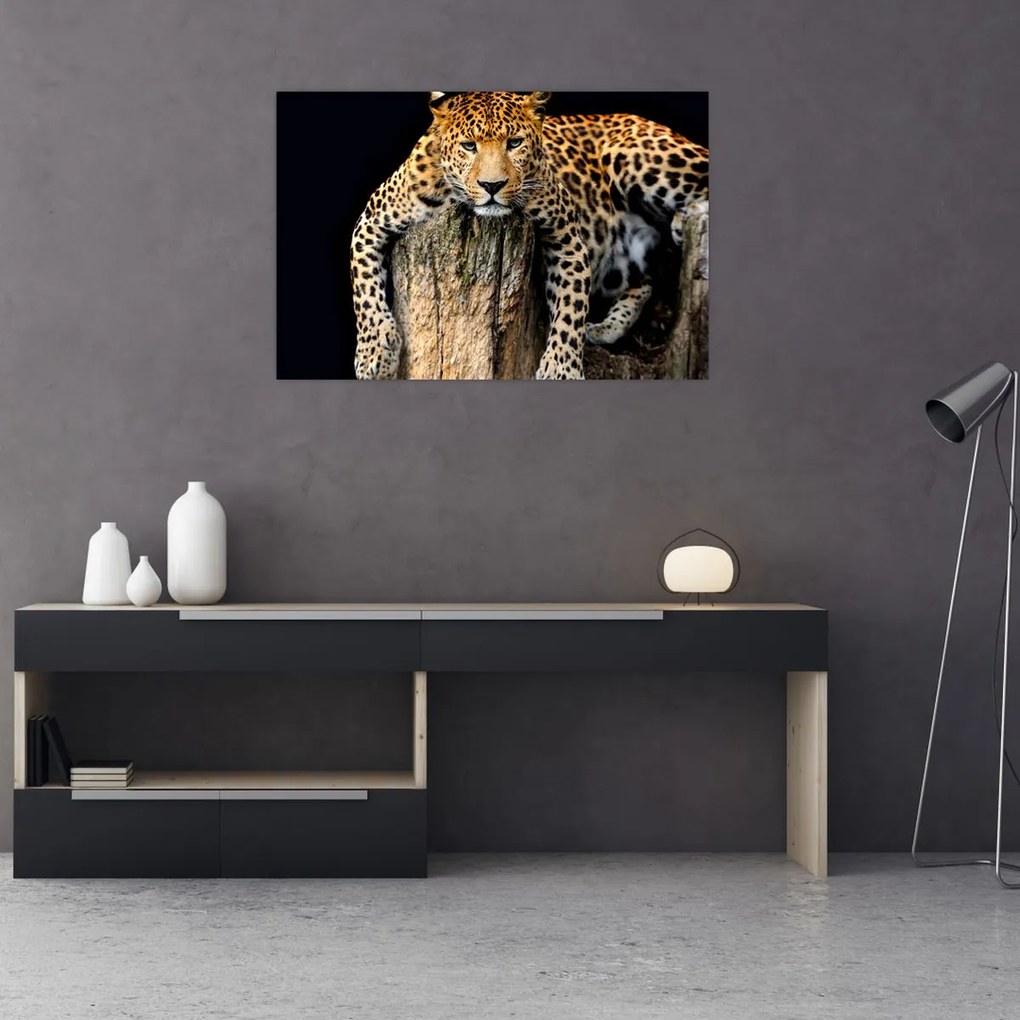 Tablou - Ghepard (90x60 cm)