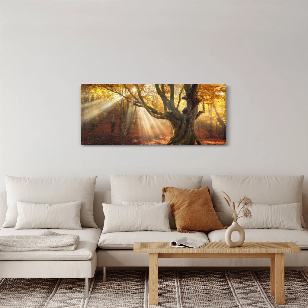 Tablou - Lumina de toamnă (120x50 cm)